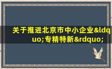 关于推进北京市中小企业“专精特新” 发展的指导意见